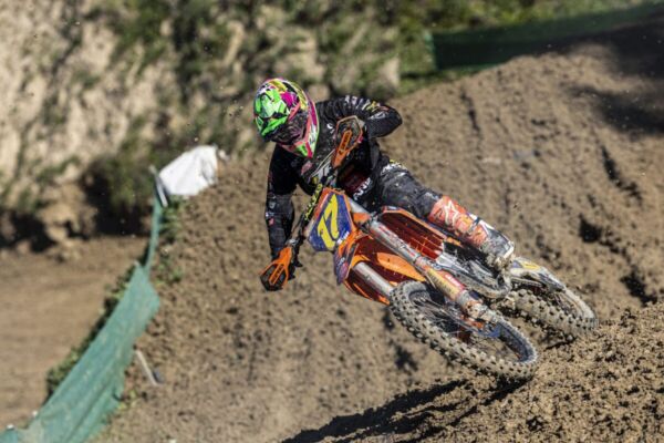 MXTalavera2024-4-Gisbert