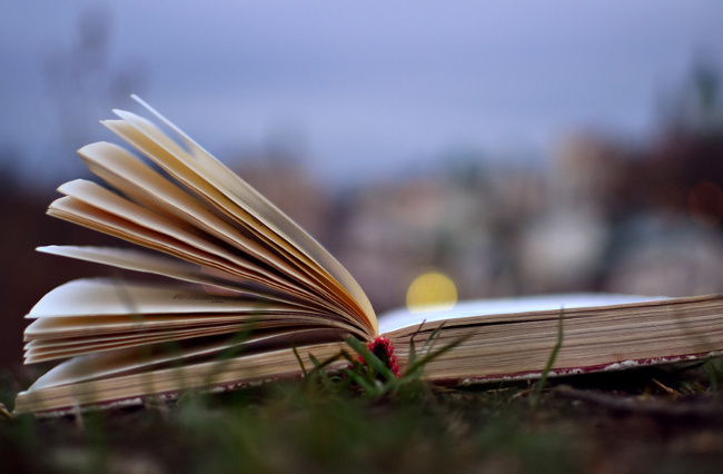 Consejos AMV para el día del libro