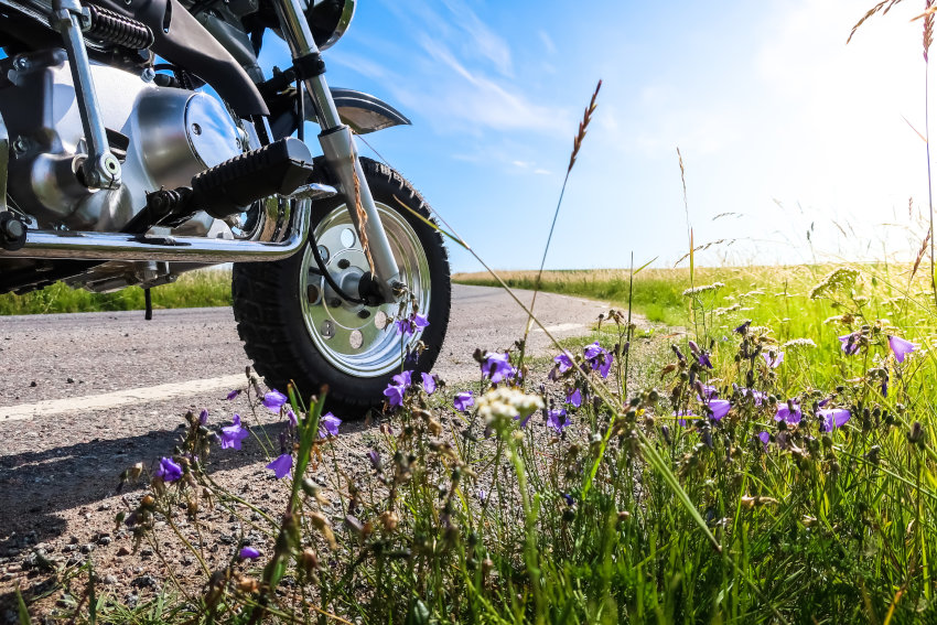 Consejos AMV para el mantenimiento de tu moto en primavera