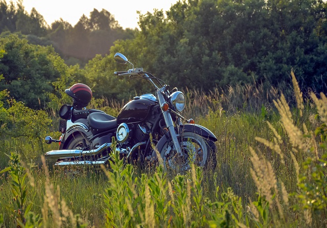 Alergia en moto: ¿cómo combatirla?