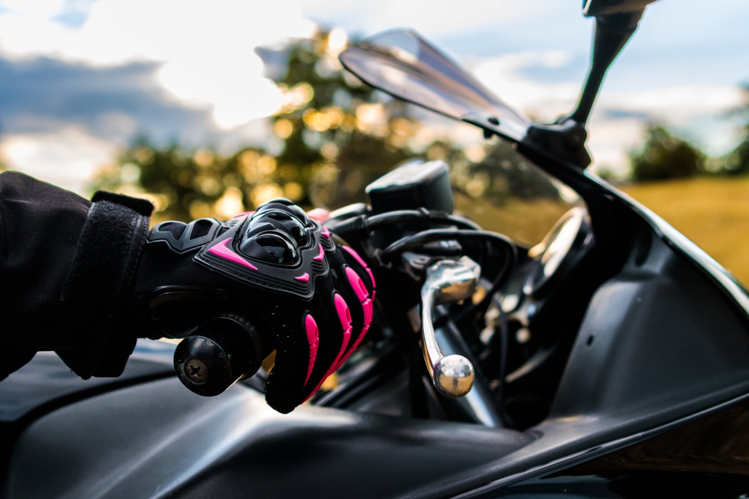 Guantes